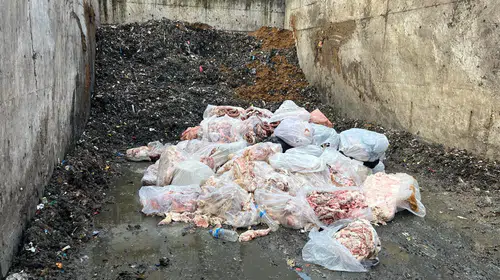 Sakarya'da gıda skandalı: Dana sucuğu diye domuz eti satmaya çalıştılar