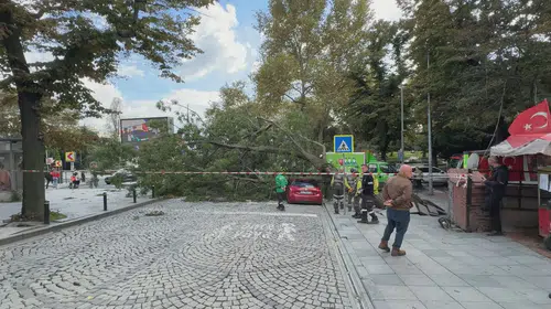 Harbiye'de ağaç dehşeti: Park halindeki araç hurdaya döndü