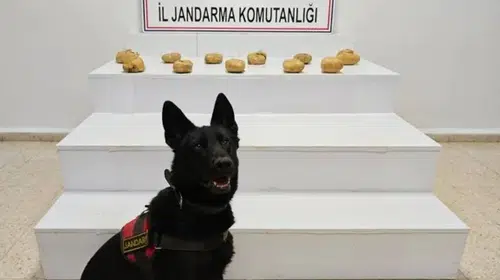 Van'da uyuşturucu tacirlerine jandarma darbesi: Kırsalda gizlenmiş halde bulundu