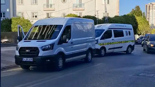 Ümraniye'de korkutan keşif: Ağaçlık alanda el bombası çıktı