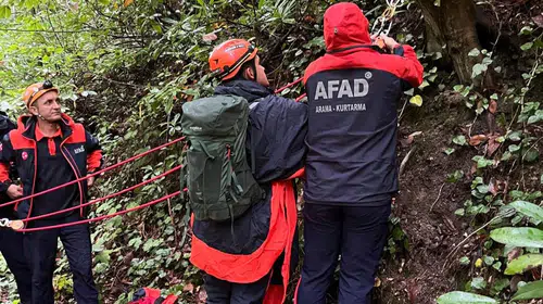 Sapanca'da kestane toplama yolculuğu acı bitti: Ormanda cansız bedeni bulundu