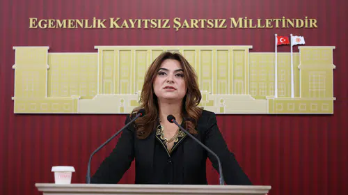 DEM Partili Koçyiğit'ten bütçe tepkisi: Faiz ve güvenlik harcamaları halkı yoksullaştırıyor