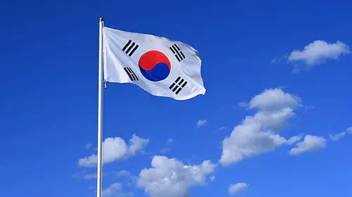 Daegu'da korku dolu anlar: Tavan çökmesiyle onlarca kişi yaralandı