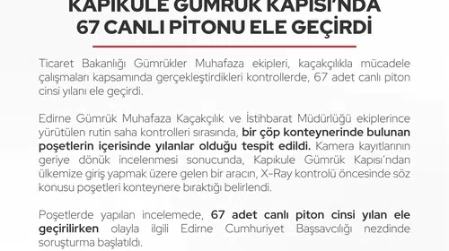 Kapıkule'de şoke eden keşif: Çöp konteynerinden 67 canlı piton çıktı