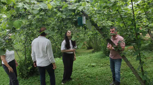 Karadeniz tarımında dijital devrim: İstilacı böcekler artık anlık izlenecek