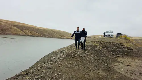 Van'ın göletleri 700 bin yeni misafirine kavuştu: Su kaynakları için dev adım
