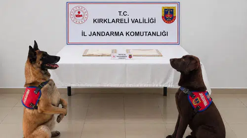 Cezaevi girişinde yakayı ele verdi: Tuvalete sakladığı uyuşturucularla yakalandı