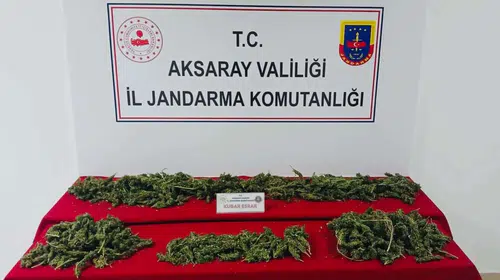 Jandarmadan dev narkotik darbesi: 32 ilde 298 kişi cezaevine gönderildi