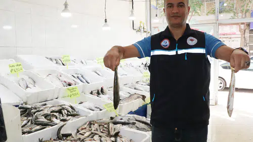 Van Gölü'nde koruma başarısı: İnci kefali hem büyüdü hem stok arttı