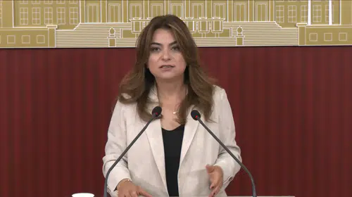 DEM Parti’den kritik mesaj: Çerçeve yasa Meclis tatiline yetişecek mi?