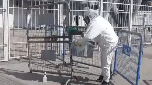 Kayseri'de maç öncesi stadyum çevresinde arı paniği