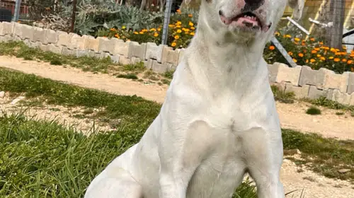 Keşan'da 'Sütlaç' için hukuk mücadelesi: ERÇED savcılığa başvurdu