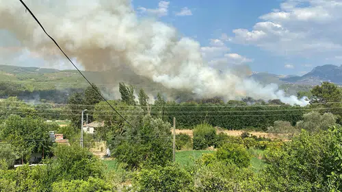 Muğla'da orman yangını: Ekipler alevleri söndürdü