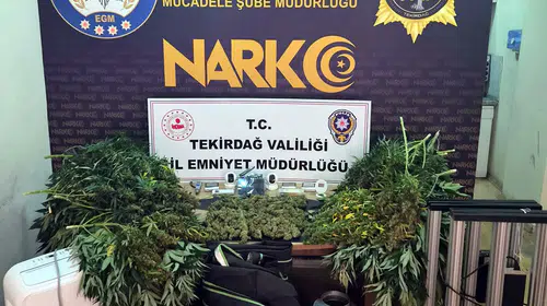 Tekirdağ'da 3 adreste uyuşturucu bulundu: 7 şüpheli tutuklu