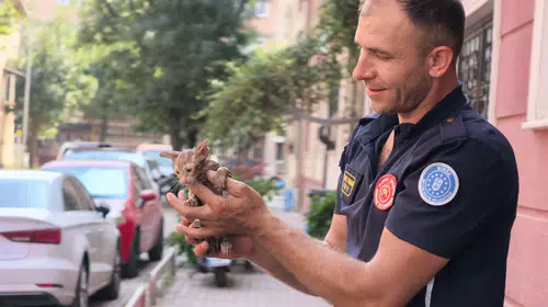 İnegöl’de duyarlı vatandaşın fark ettiği kedi kurtarıldı