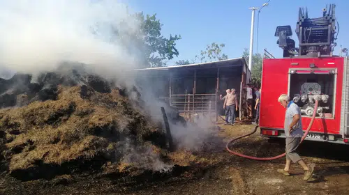 Keşan'daki çiftlikte yangın: 500 saman balyası kül oldu