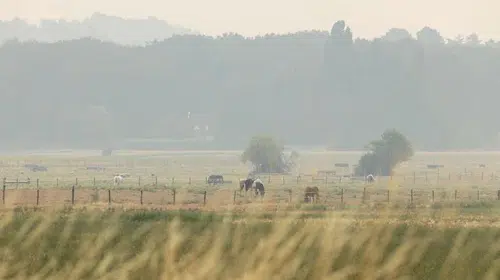 Fransa'da 12 ilde akşam 18.00'den itibaren turuncu alarm: Dolu ve şiddetli yağış kapıda