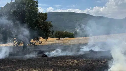 Balya makinesinden çıkan kıvılcımlar tarlayı tutuşturdu: Ormana ulaşmadan söndürüldü