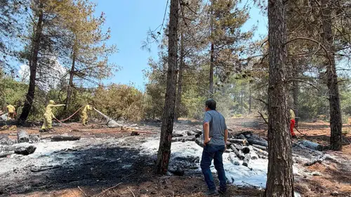 İslahiye'de orman yangını: Ekipler bir saatte söndürdü