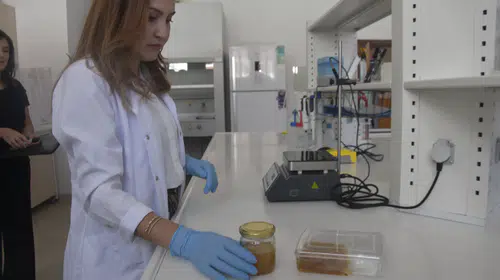 Bitlis Eren Üniversitesi bal üretiminde çıtayı yükseltti