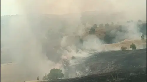 Pütürge ilçesinde orman yangını çıktı