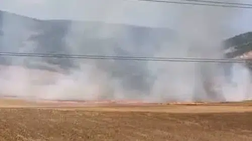 İnegöl'de tarla yangınına hızlı müdahale ile önlem alındı