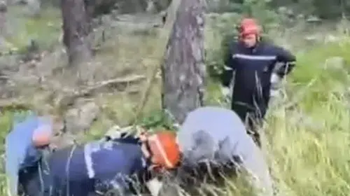 Uçurumdaki inek vinçle kurtarıldı