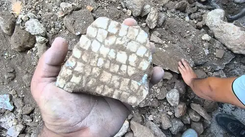Reyhanlı’da altyapı kazısından mozaik çıktı