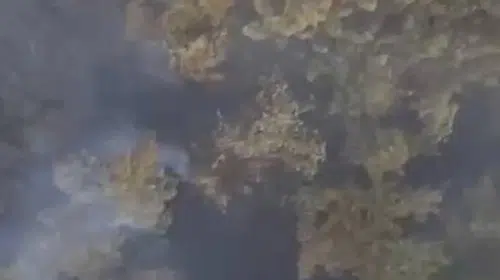 Balıkesir’de orman yangınına ikinci günde müdahale