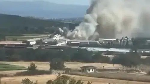 Mudanya’daki tavuk çiftliğinde yangın paniği