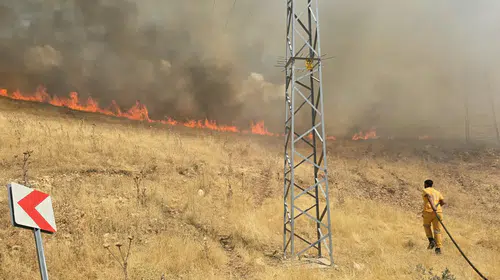 Silvan'da örtü yangını kontrol altına alındı