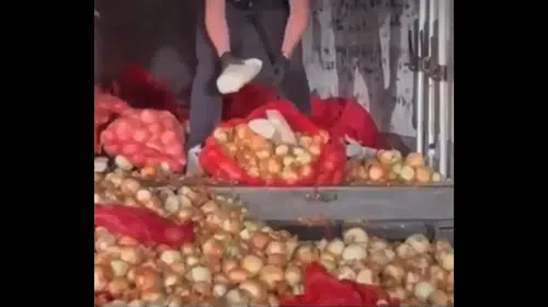 Haymana'da soğan yüklü TIR'a uyuşturucu baskını
