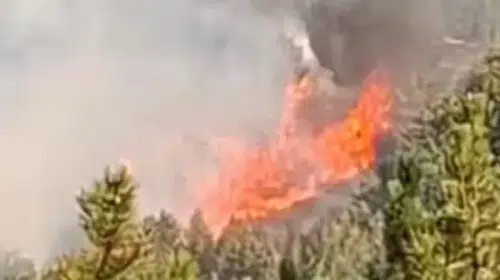 Bolu Göynük'te ormanlık alanda yangın alarmı
