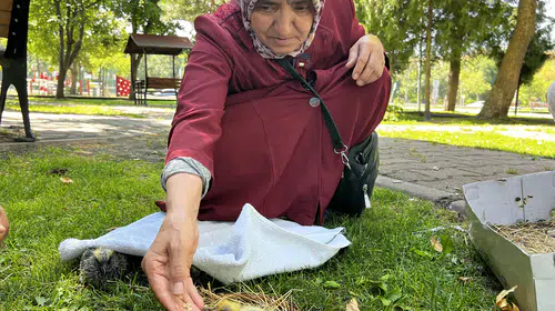 Kayseri’de apartman boşluğundaki güvercin yavruları koruma altına alındı