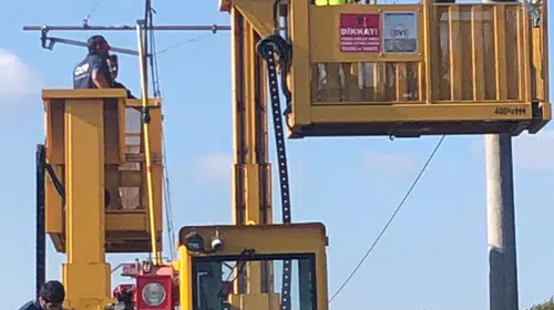 Küçükçekmece'de leylek ölümleri sonrası TCDD'den bilimsel inceleme kararı