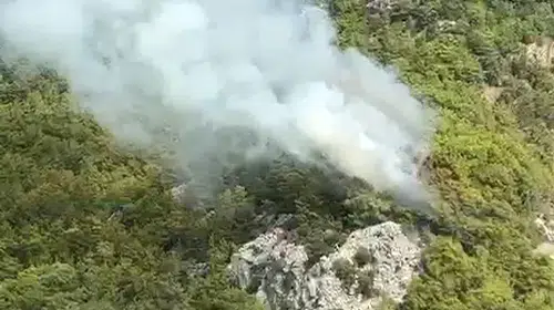 Çıralı’da orman yangınına hava ve karadan müdahale