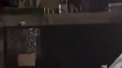 Hastane bahçesinde konteynere çıkıp polise demir sopayla saldırdı: Başından yaraladı, sınır dışı edilecek