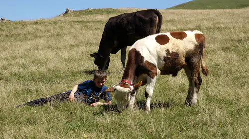 Karadeniz'in 12 yaşındaki çevre elçisi: Yaylaları temiz tutmak için çöp topluyor
