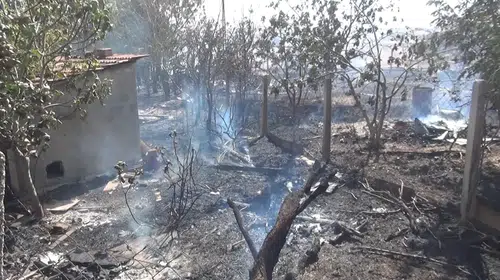 Rüzgarın büyüttüğü alevler Silivri’de yapıları etkiledi, yavru kaplumbağalar öldü