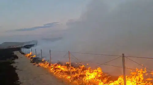 Gordion'daki yangın şüphelisi cezaevine gönderildi