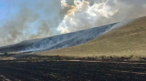 Ahlat’ta kıvılcımla başlayan yangın rüzgârla büyüdü: 400 dönüm zarar gördü