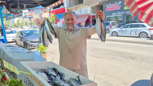 Alaplı’da sezonun ilk palamutları tezgâhları doldurdu