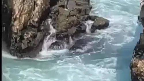 Kandıra’da deniz yasağını ihlal eden kişi kurtarıldı