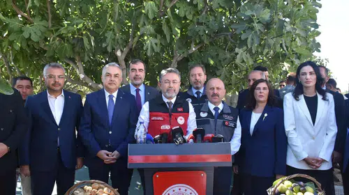 Dünya İncir Lideri Türkiye: 2026 Rekoltesi Açıklandı