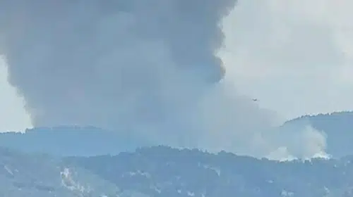 Kuyucak'ta orman yangını: Ekipler havadan ve karadan müdahale ediyor
