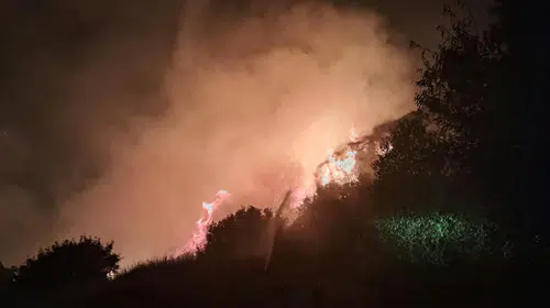 Antalya'da otluk yangını: 30 dönüm küle döndü