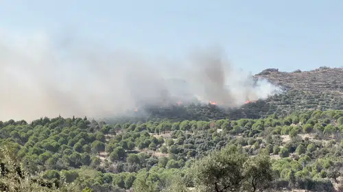 Ödemiş'te orman yangını: Yeniköy Mahallesi'nde alevlere havadan ve karadan müdahale