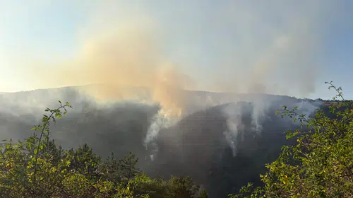 Kastamonu Taşköprü'de orman yangını: Boztepe Mahallesi'nde alevlere müdahale sürüyor