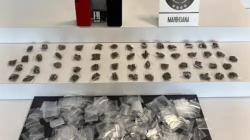 Maltepe’de uyuşturucu operasyonunda 120 gram marihuana ele geçirildi
