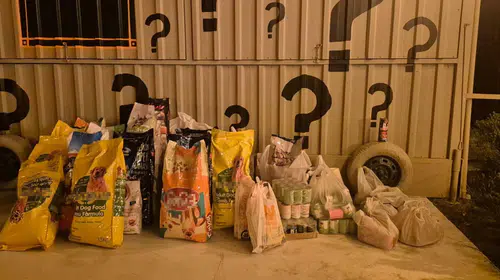 Karşıyaka'da Dünya Köpek Günü'nde anlamlı buluşma: Foça'daki patili dostlar için 600 kilo mama toplandı